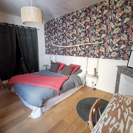 Bel De Charme En Centre Ville Apartment Perpignan